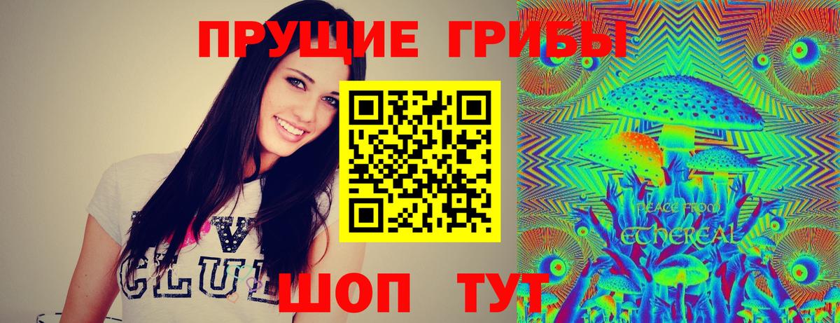 Псилоцибиновые грибы MAGIC MUSHROOMS  Вход с VPN  Свободный 