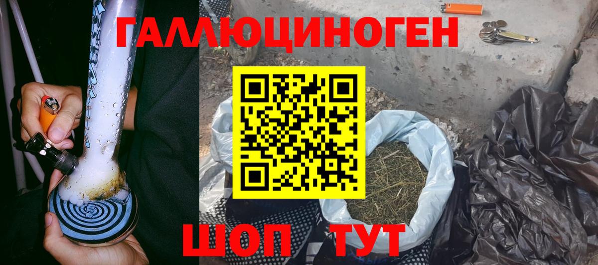 Галлюциногенные грибы Magic Shrooms Свободный